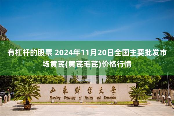 有杠杆的股票 2024年11月20日全国主要批发市场黄芪(黄芪毛芪)价格行情