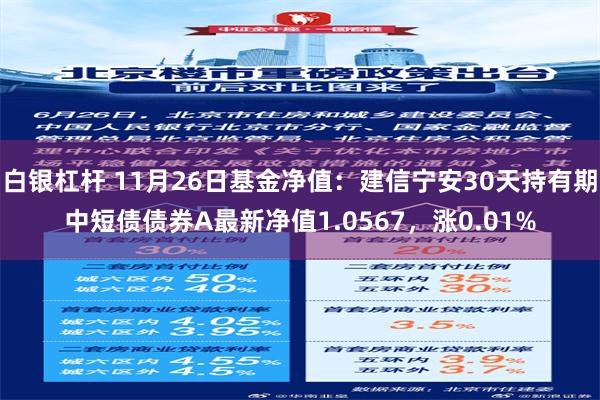 白银杠杆 11月26日基金净值：建信宁安30天持有期中短债债券A最新净值1.0567，涨0.01%