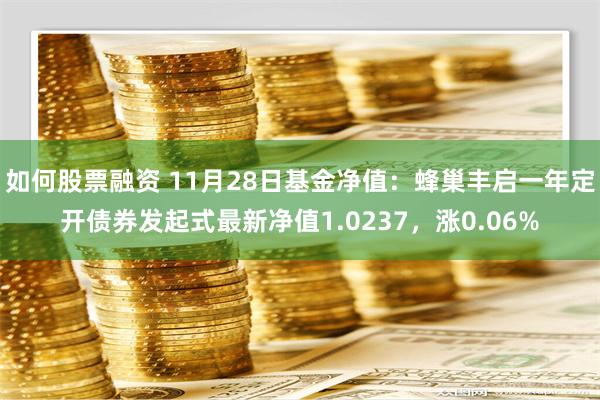 如何股票融资 11月28日基金净值：蜂巢丰启一年定开债券发起式最新净值1.0237，涨0.06%