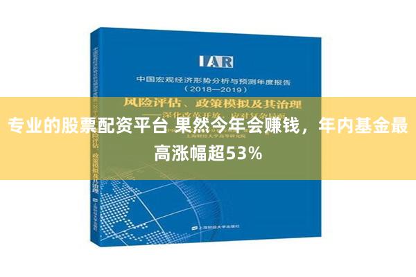 专业的股票配资平台 果然今年会赚钱，年内基金最高涨幅超53%